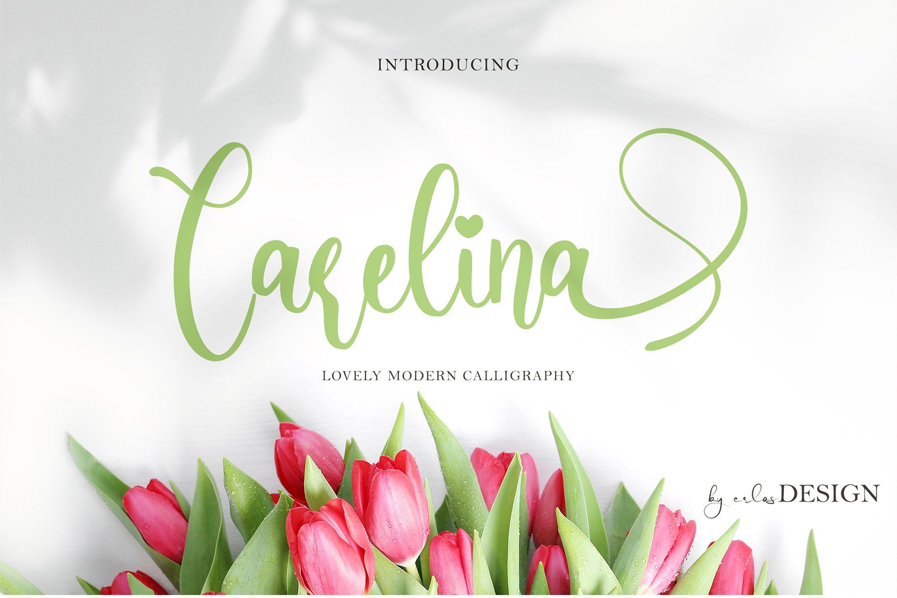 A lovely modern calligraphy font